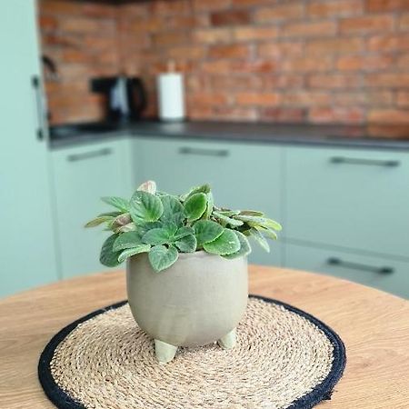 Mona Apartamentai Telsiai Ngoại thất bức ảnh
